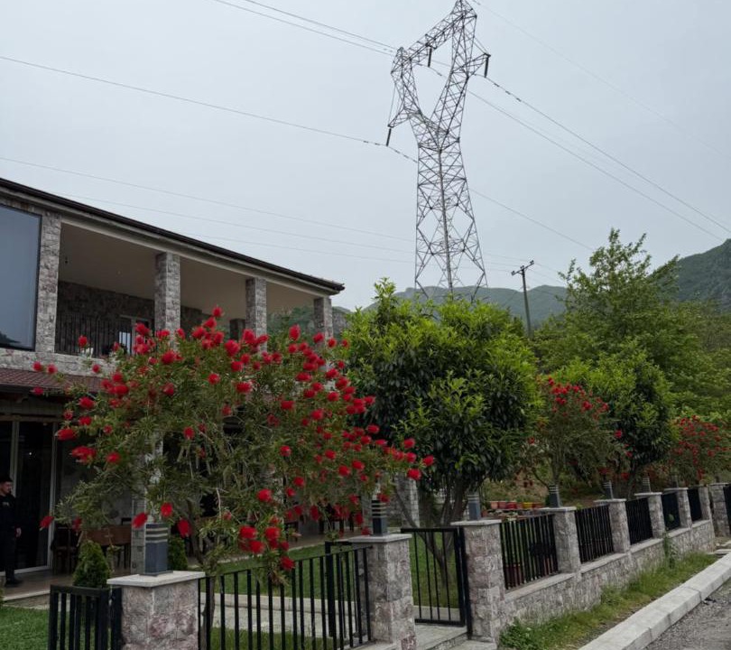 Photo of Others in Koman