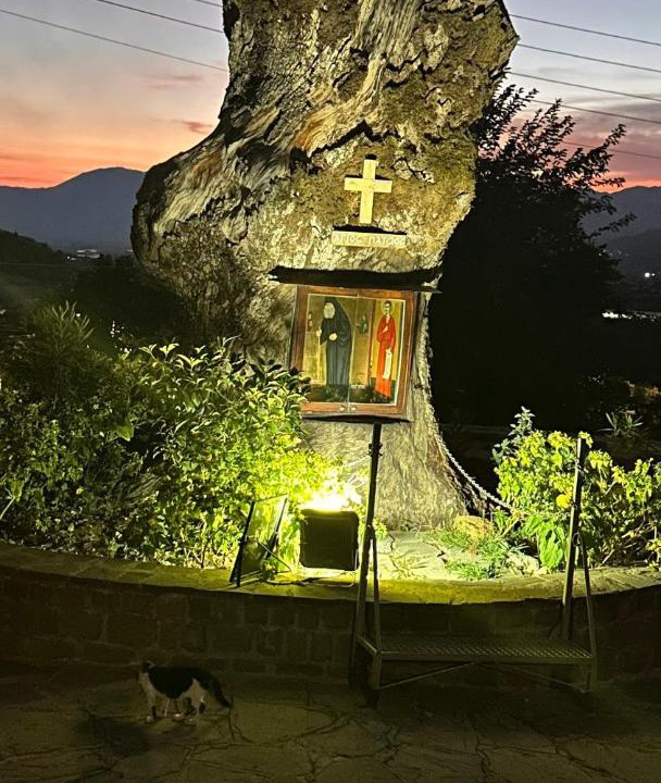Photo of Others in Konitsa