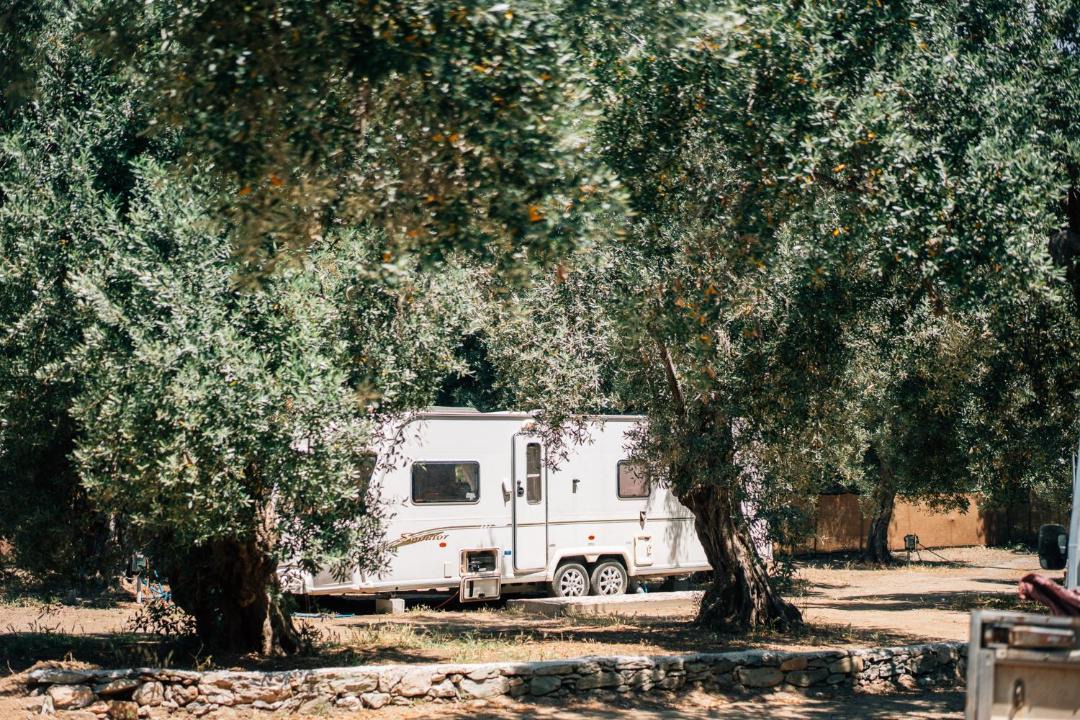Photo of Others in Melinta