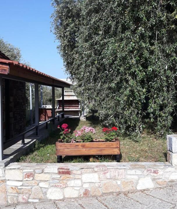 Photo of Others in Skala Potamias