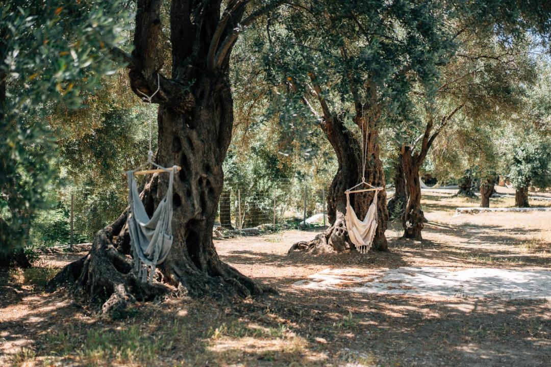 Photo of Others in Melinta