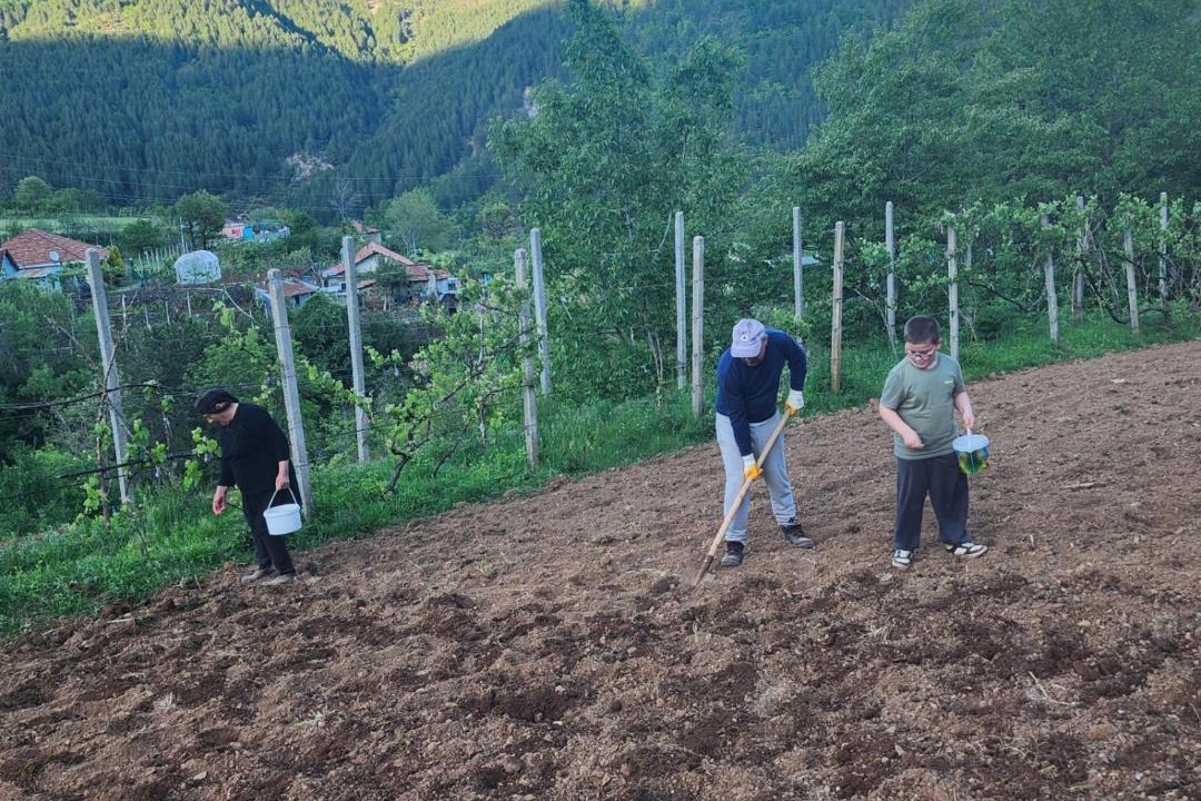 Photo of Others in Sakës