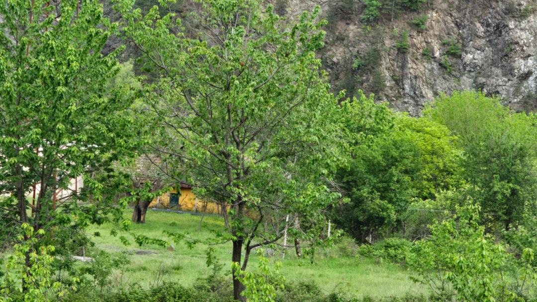 Photo of Others in Sakës