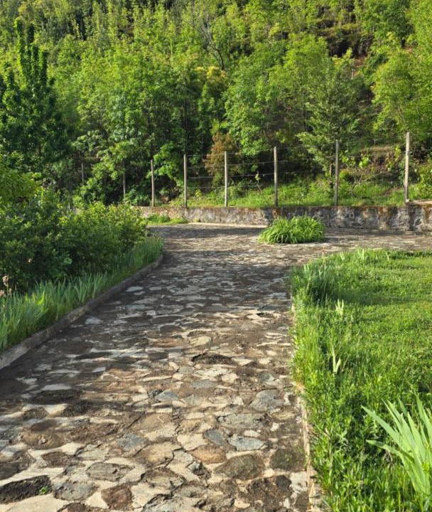 Photo of Others in Sakës
