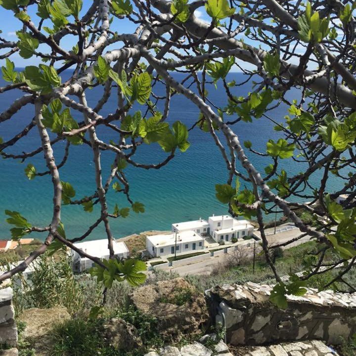 Photo of Others in Skyros Town