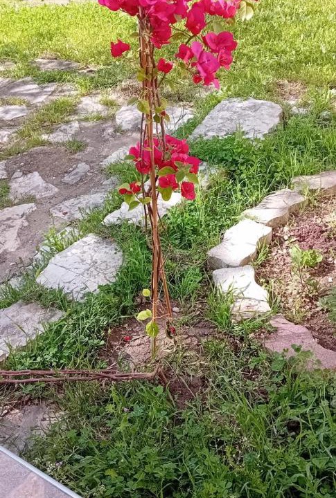 Photo of Others in Trikala