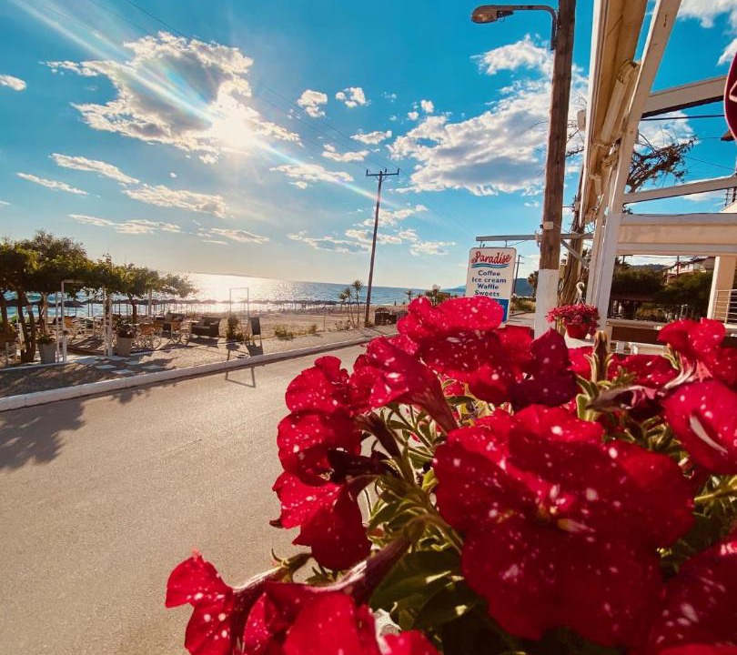 Photo of Others in Preveza