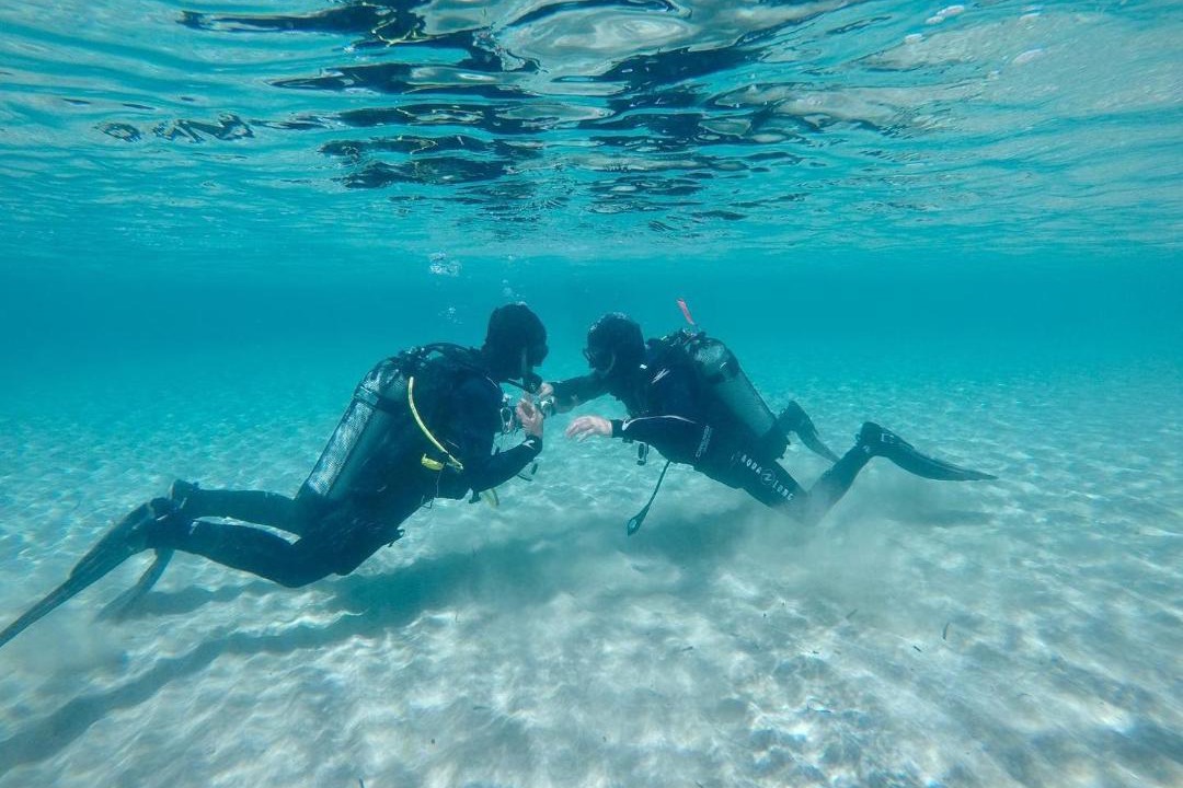 Photo of Others in Aliki