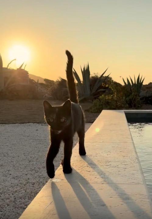 Photo of Others in Antiparos