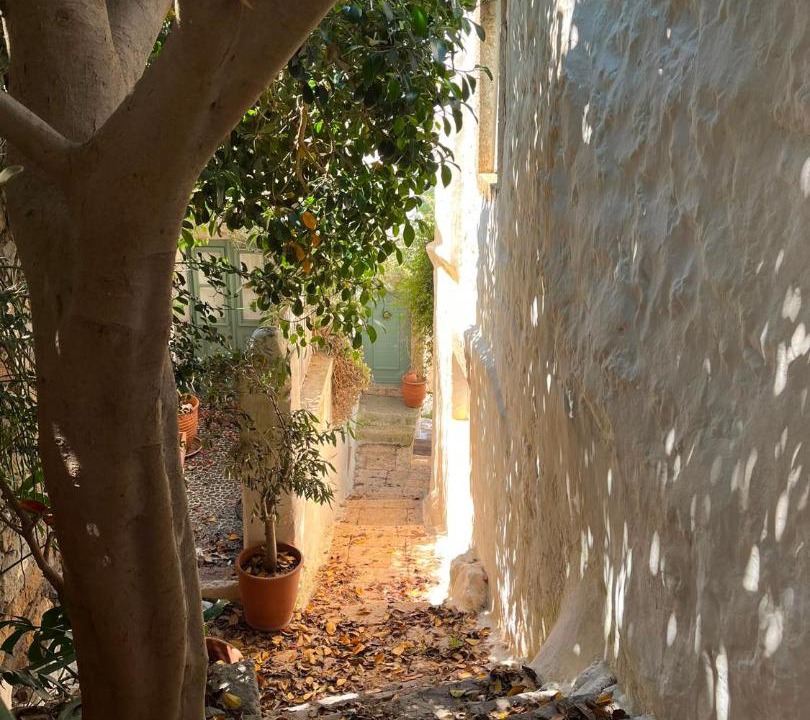 Photo of Others in Chora