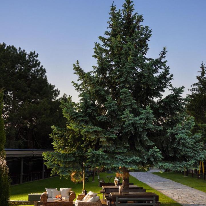 Photo of Others in Litochoro