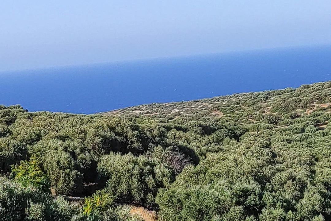 Photo of Others in Vrouhas