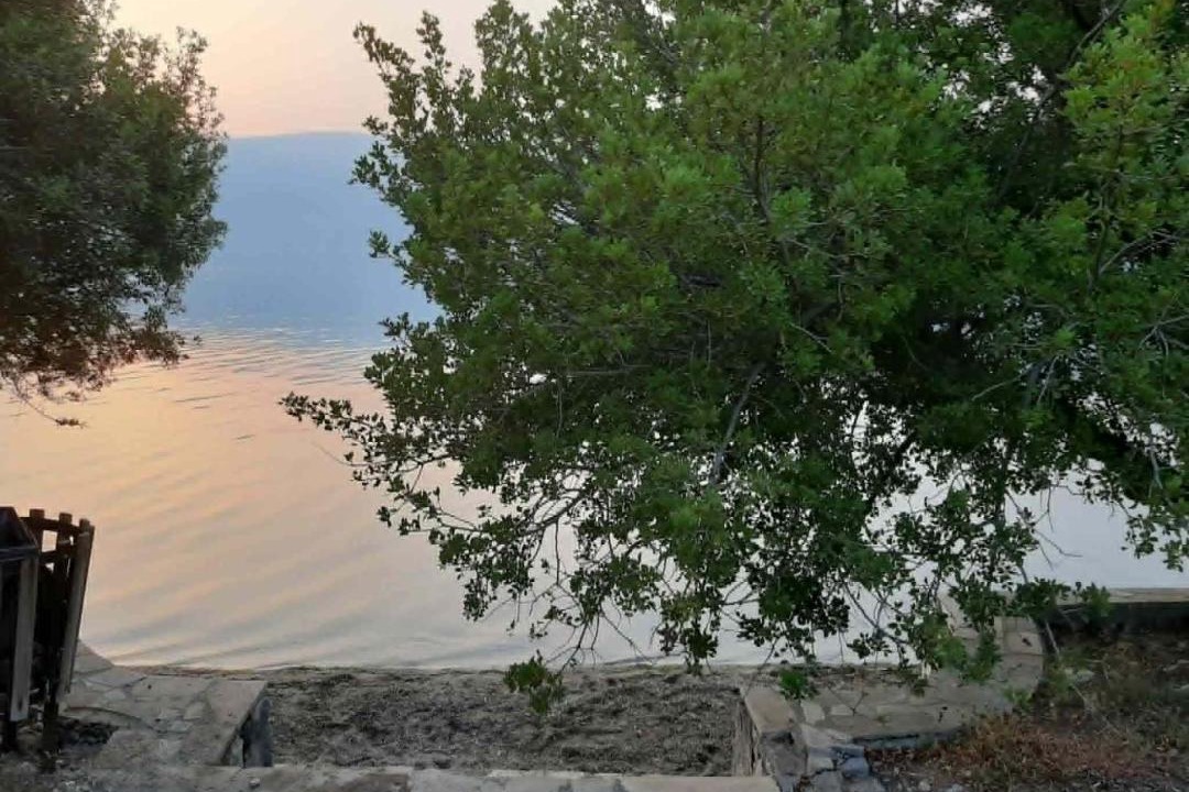 Photo of Others in Skroponeria