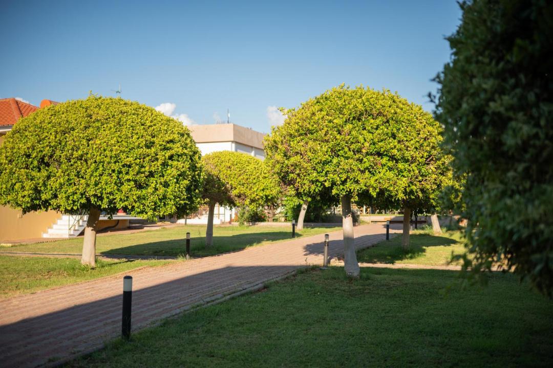 Photo of Others in Agrilos