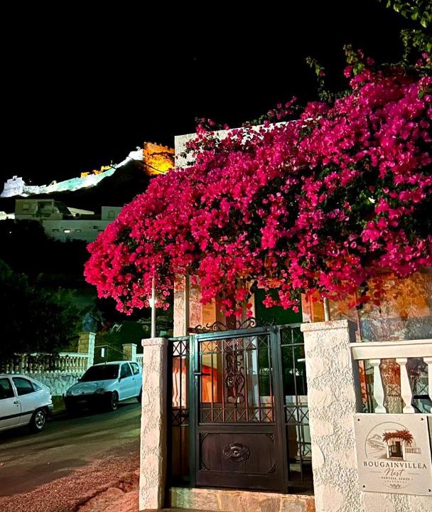 Photo of Others in Panteli