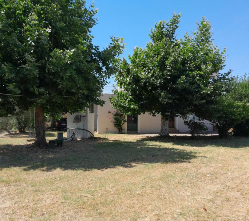 Photo of Others in Pyrgos