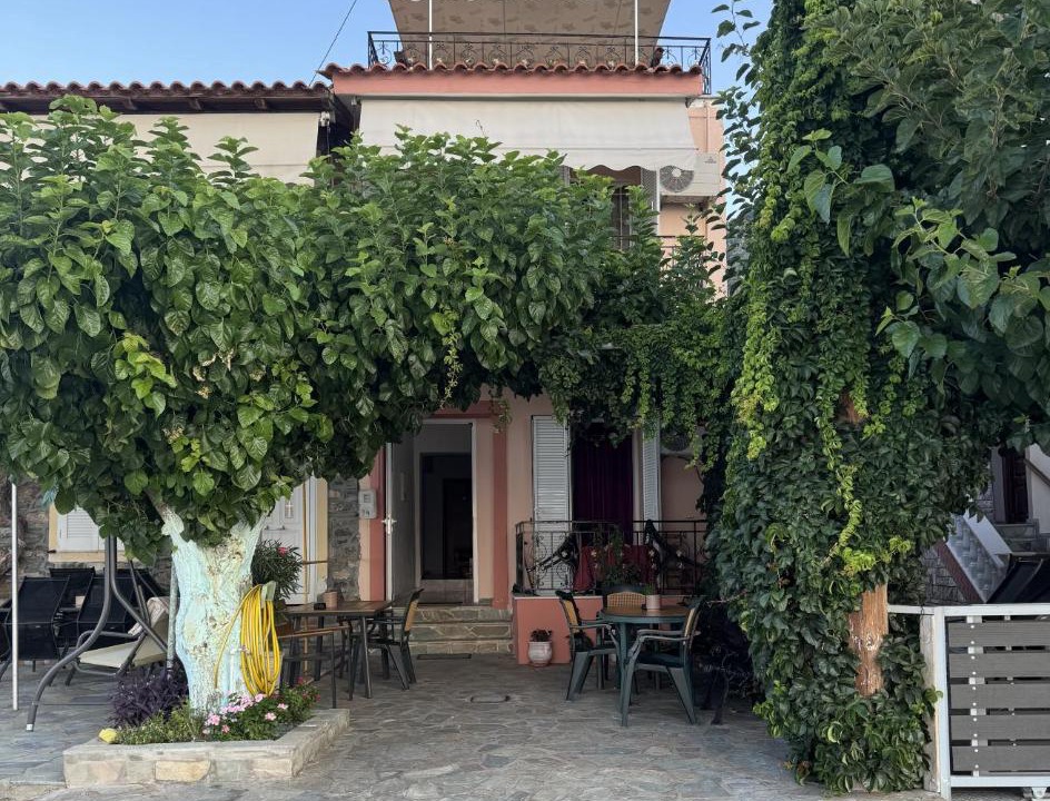 Photo of Others in Ilia