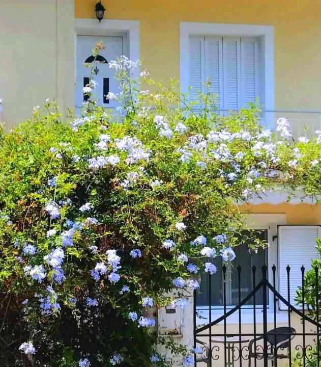 Photo of Others in Corfu Town