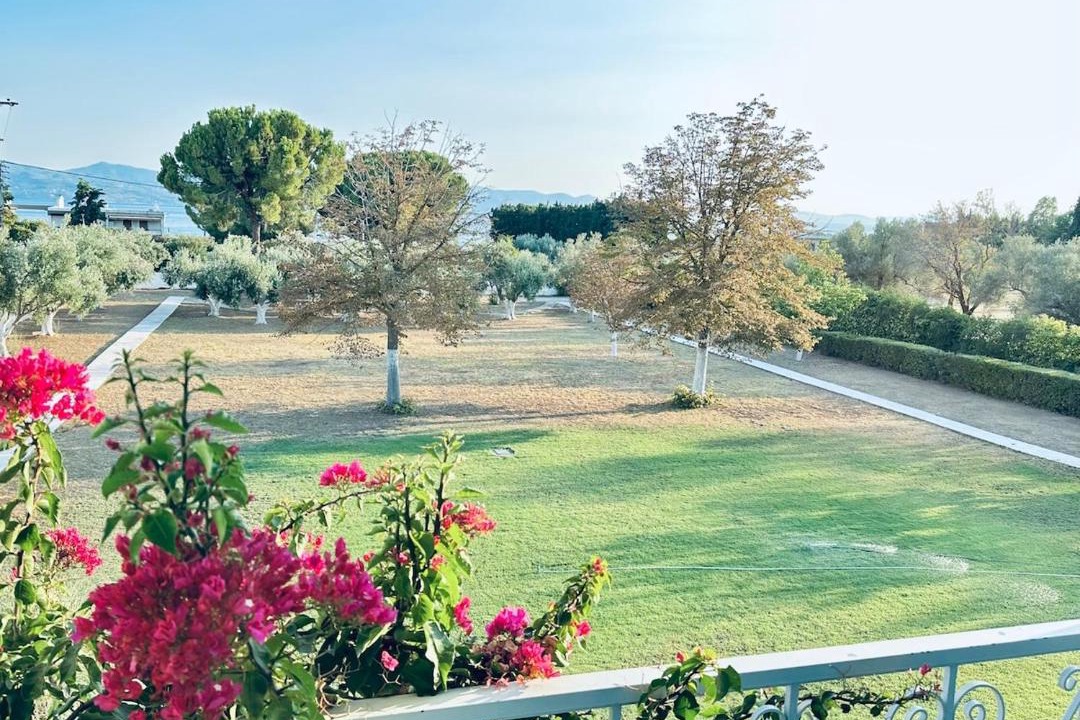 Photo of Others in Eretria