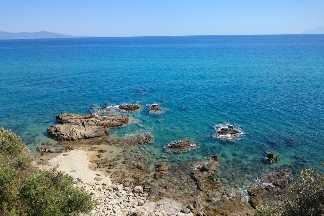 Photo of Others in Pangaio