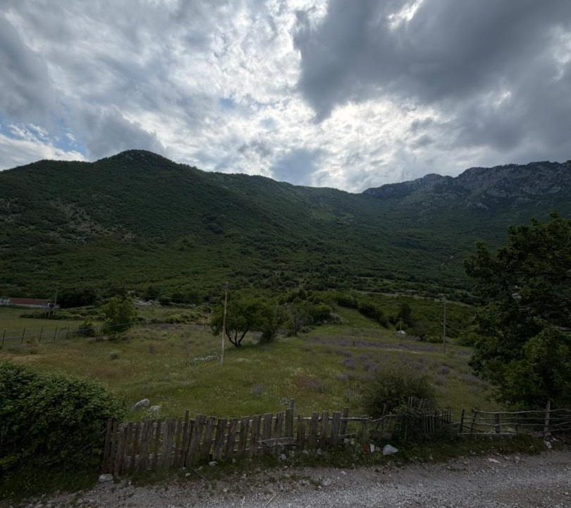 Photo of Others in Shkoder County