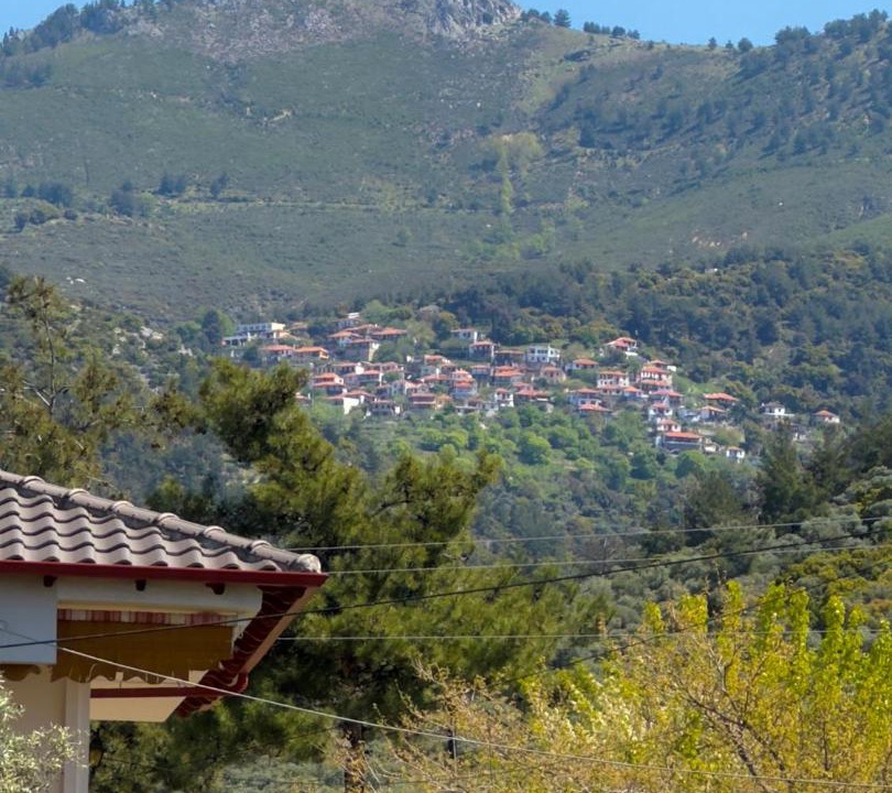 Photo of Others in Skala Sotiros