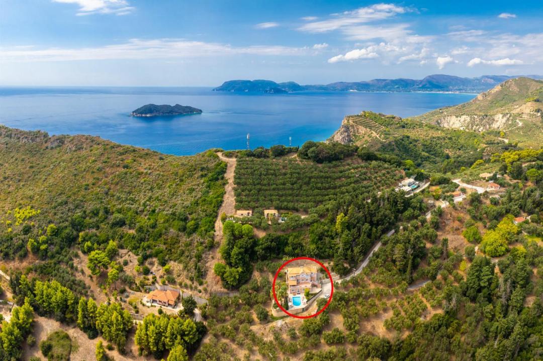 Photo of Others in Vasilikos