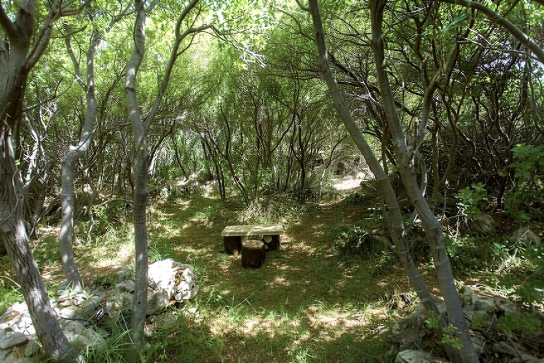 Photo of Others in Makhairoi