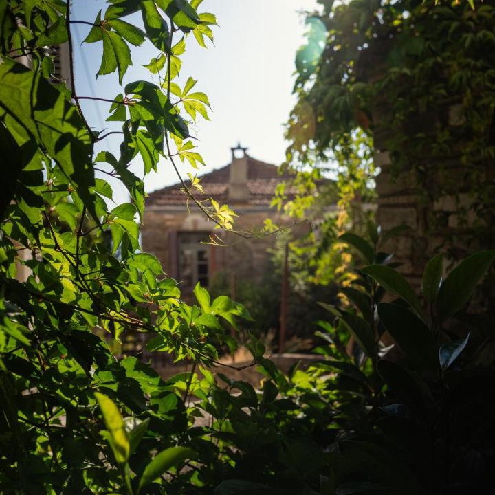 Photo of Others in Lafkos