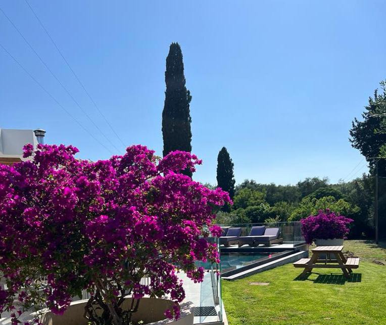 Photo of Others in Corfu Town