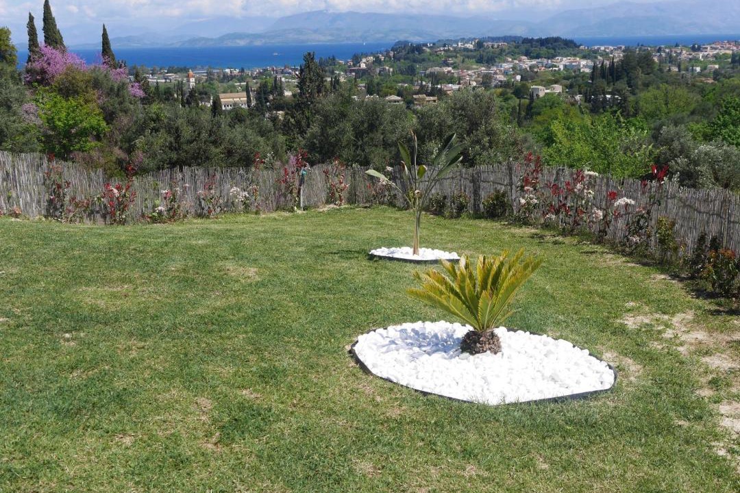 Photo of Others in Corfu Town