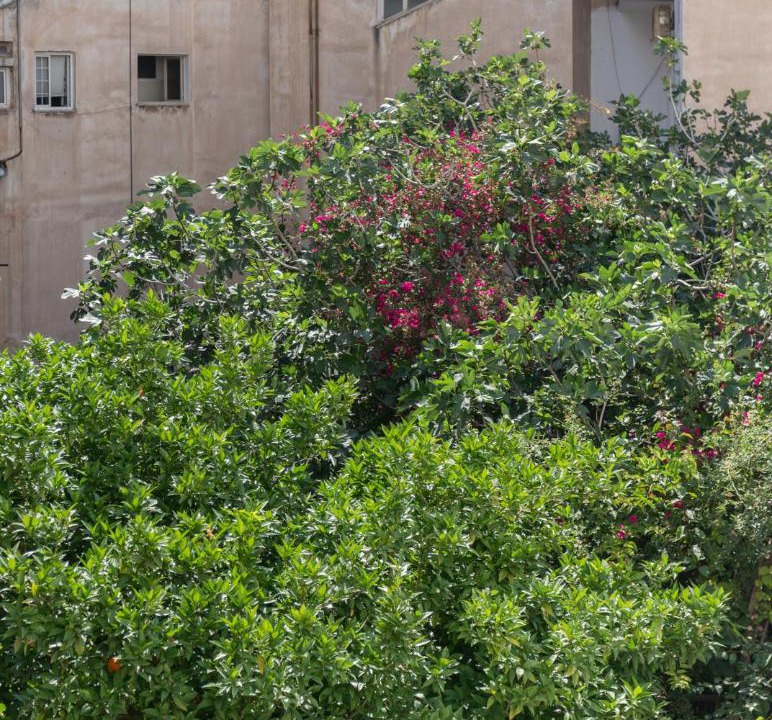 Photo of Others in Filopappou