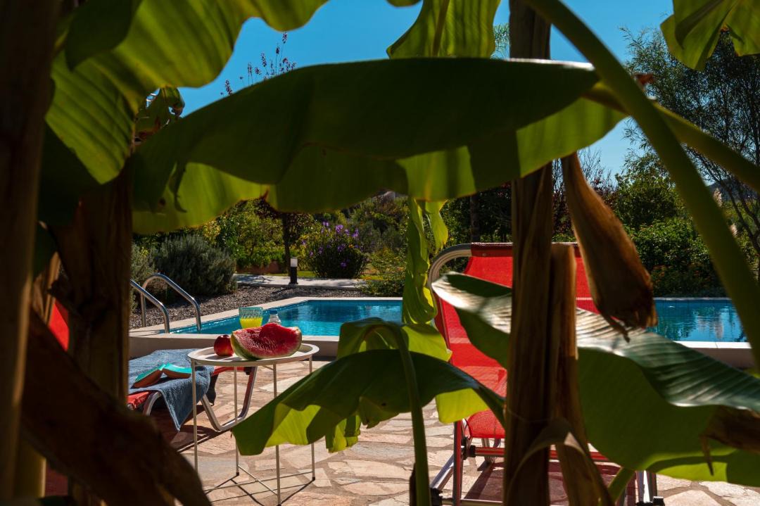 Photo of Others in Preveza