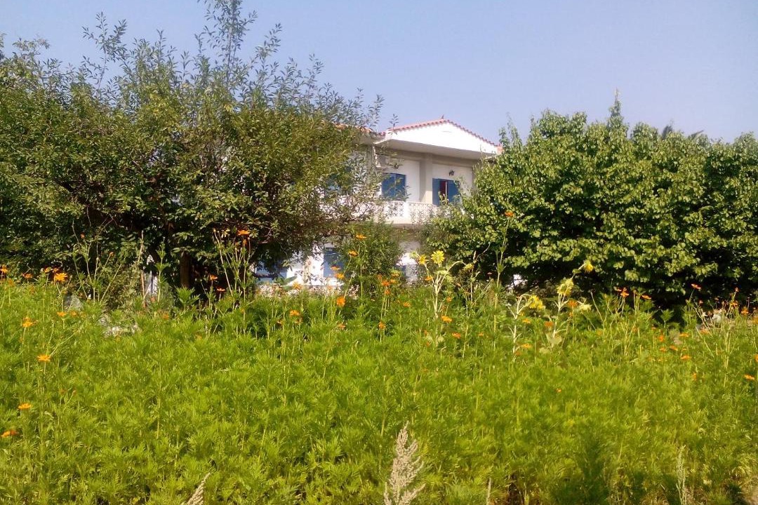 Photo of Others in Eresos-Antissa