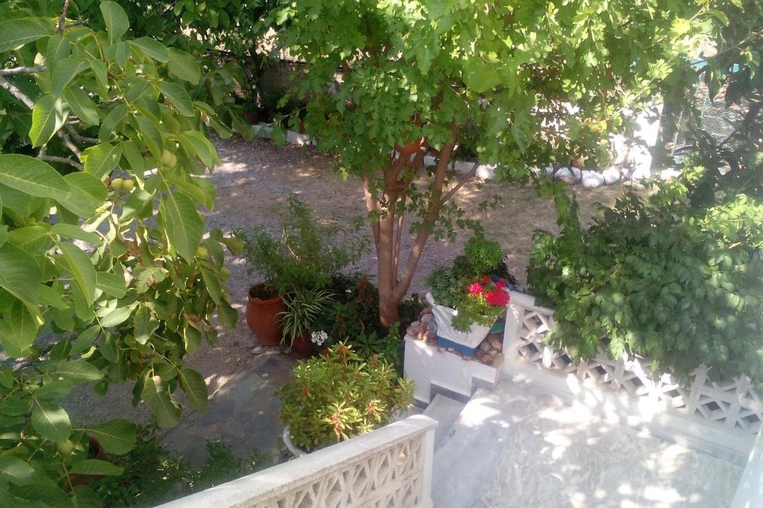 Photo of Others in Eresos-Antissa