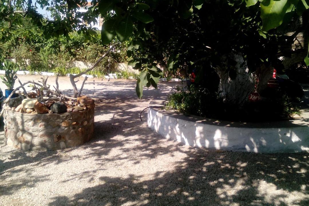 Photo of Others in Eresos-Antissa