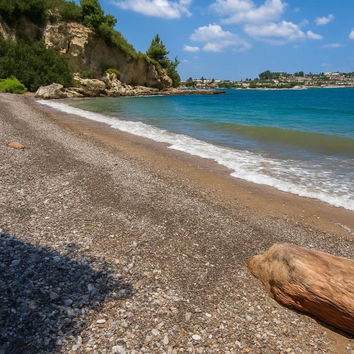 Photo of Others in Chalcis