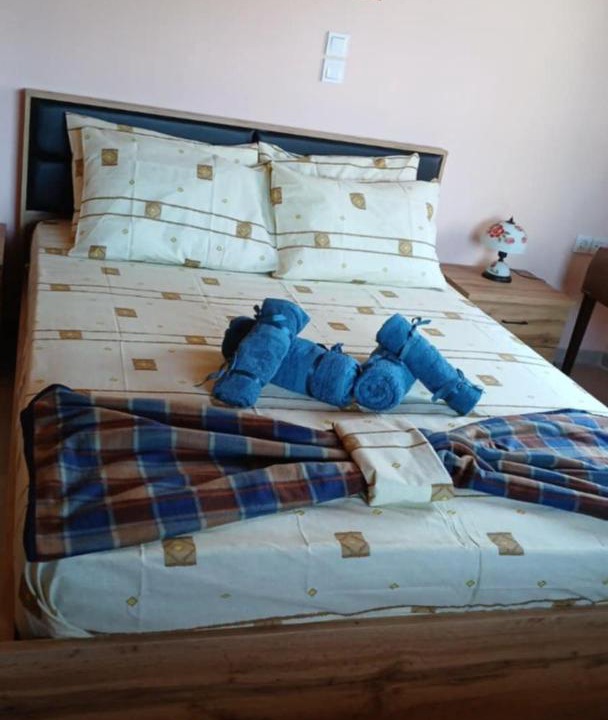 Photo of Others in Konitsa