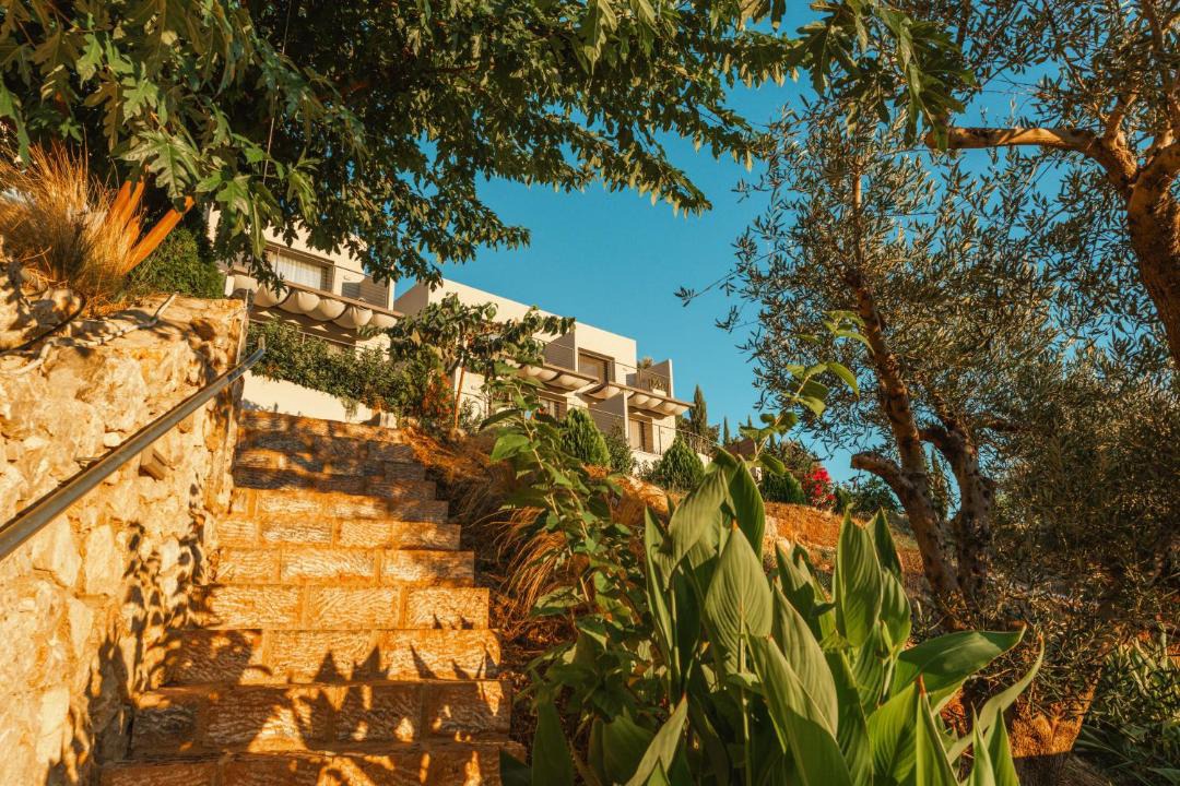 Photo of Others in Sivota