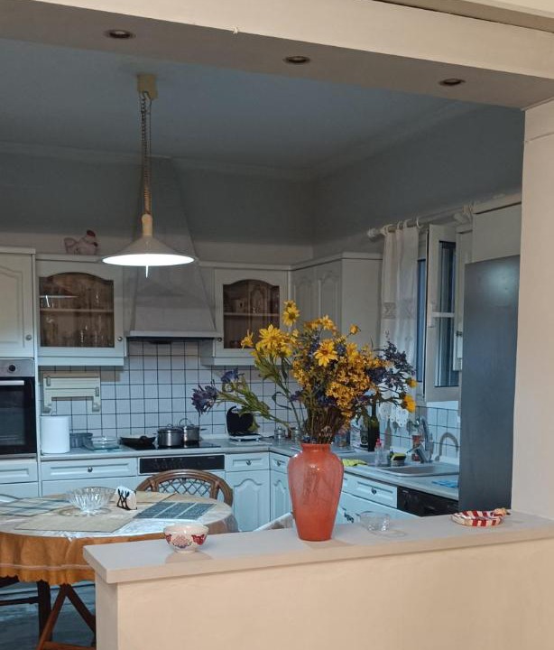 Photo of Kitchen in Alepou