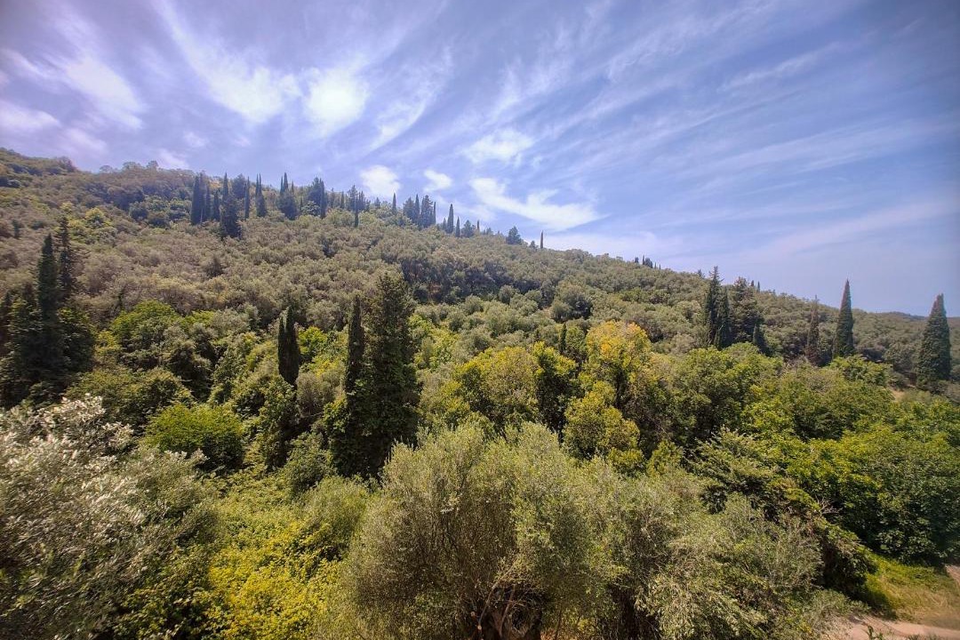 Photo of Others in Peroulion