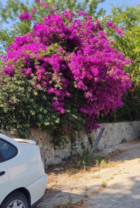 Photo of Others in Agios Ioannis