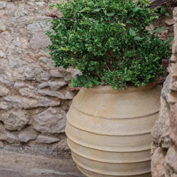 Photo of Others in Artemisia
