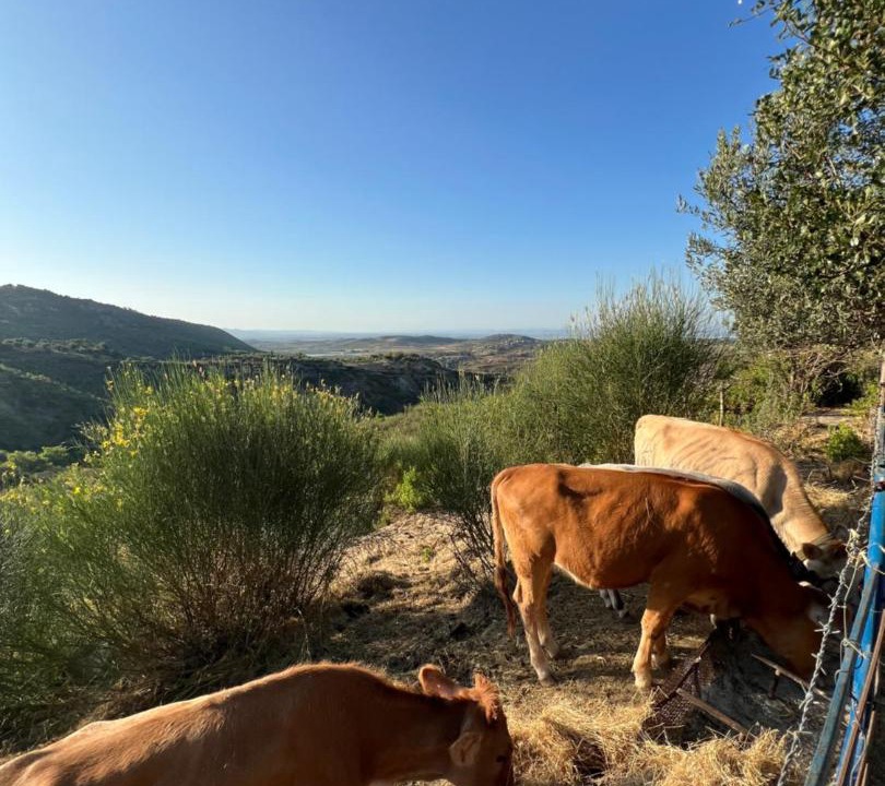 Photo of Others in Mbrostar-Urë