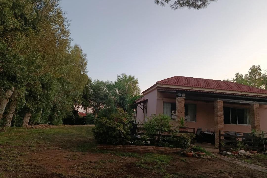 Photo of Others in Larissos