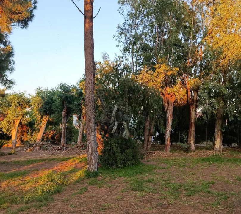 Photo of Outdoor in Larissos