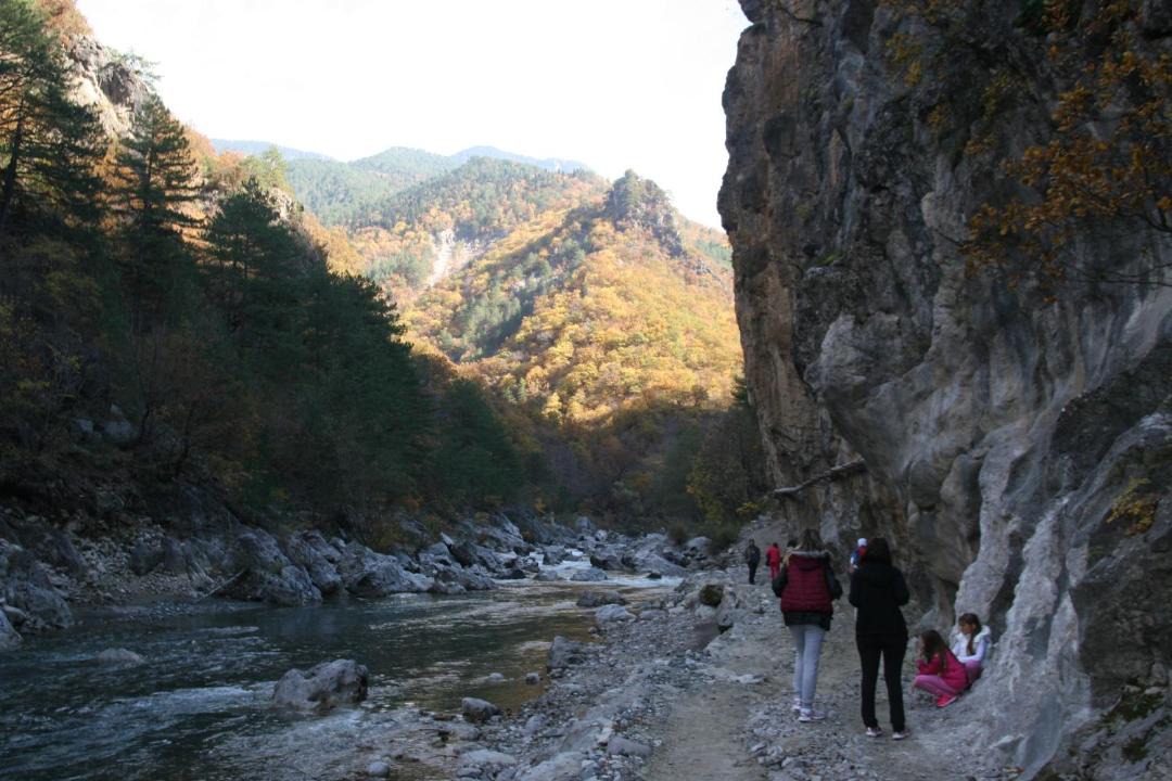 Photo of Others in Konitsa