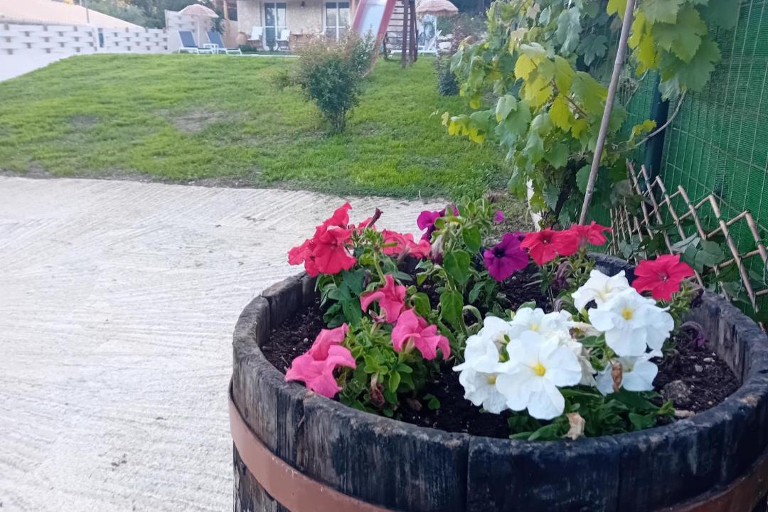 Photo of Outdoor in Liapades