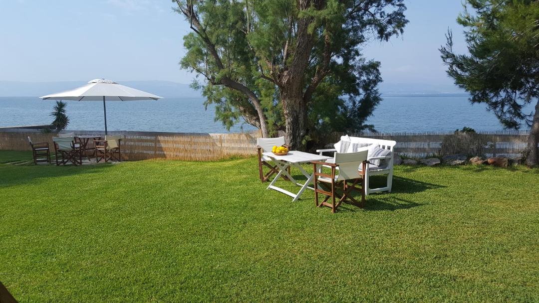 Photo of Others in Eretria