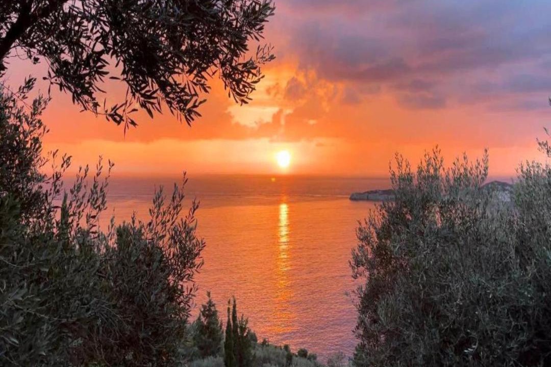 Photo of Others in Afionas